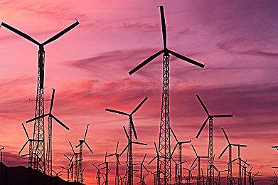 微软去年为《班卓熊大冒险》新作项目开绿灯